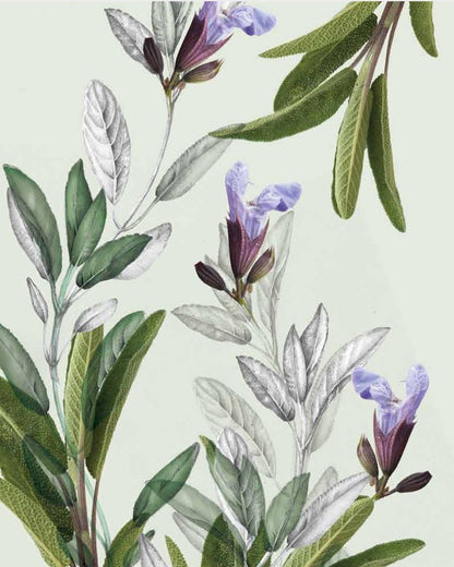 Be Aromatic Organic Sage