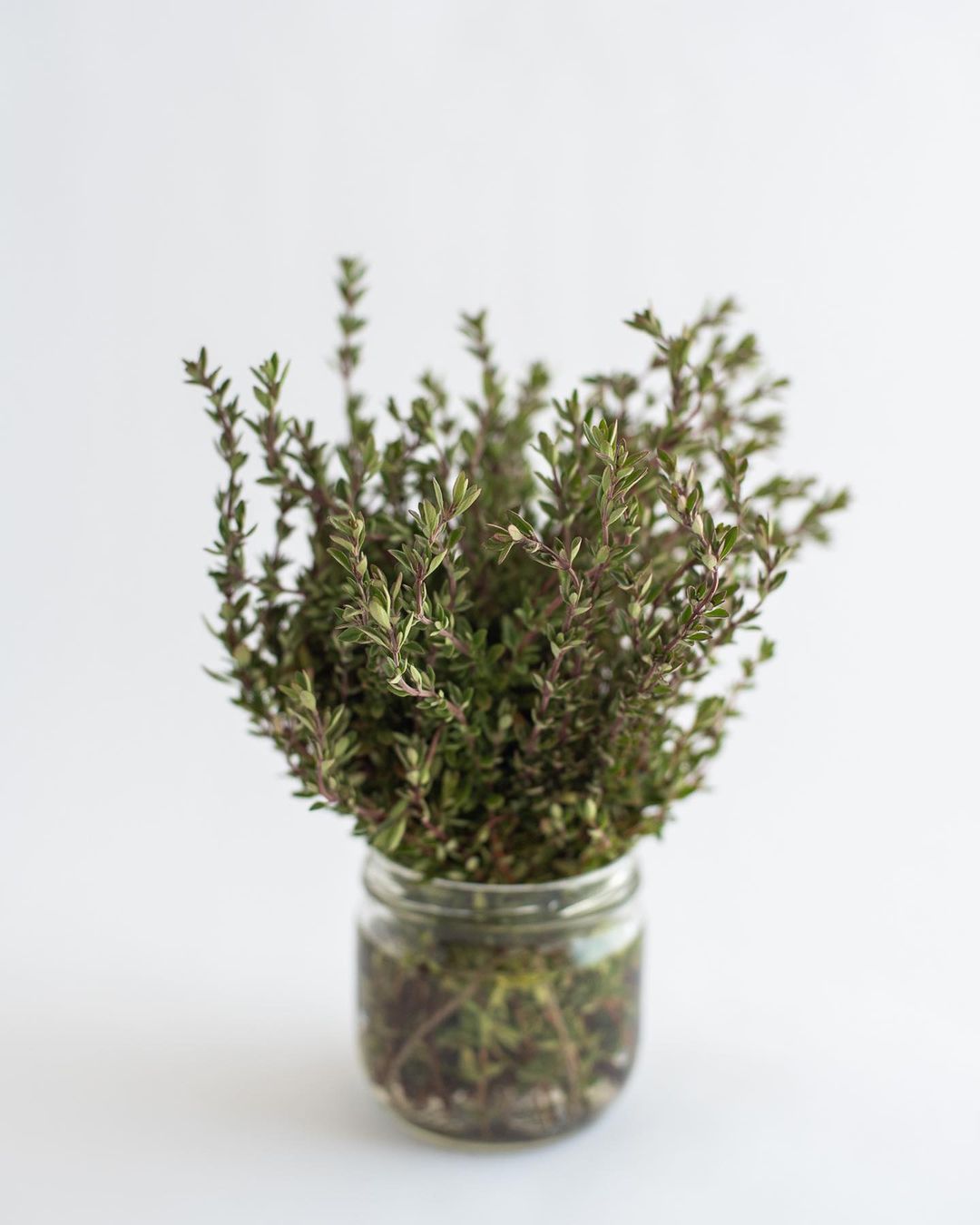 Be Aromatic Organic Portuguese Thyme