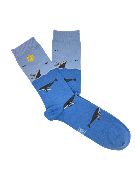 Chulé Socks "Island" Collection // Whales