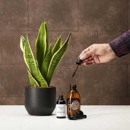 NEW Plant Spa Kit